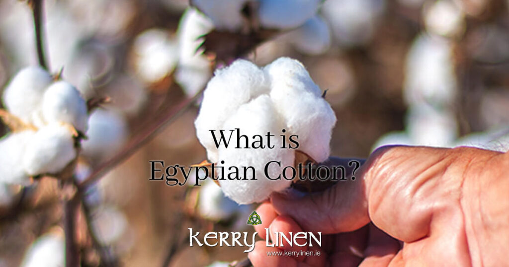 What is Egyptian Cotton? - Kerry Linen Beddng and Bed Linen Ireland