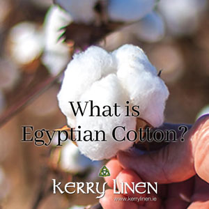 What is Egyptian Cotton?