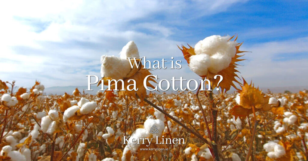 What is Pima Cotton? - Kerry Linen